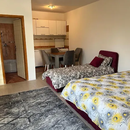 Apartment Salon